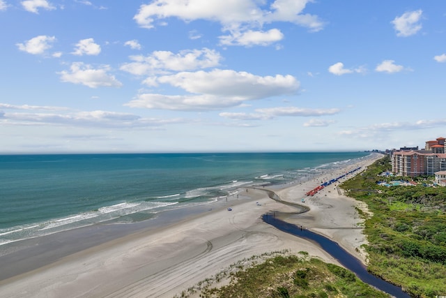 water view featuring a beach view