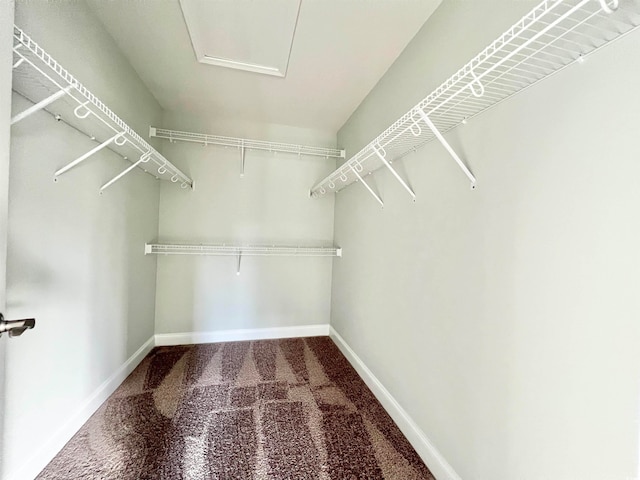 walk in closet featuring carpet floors