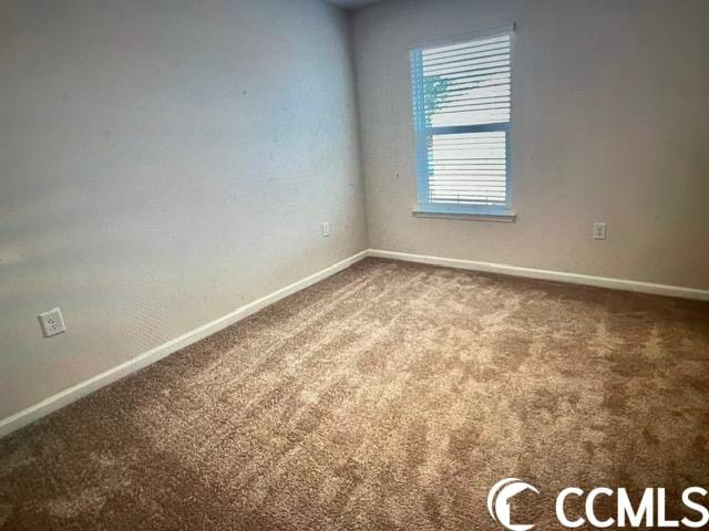 spare room with carpet floors