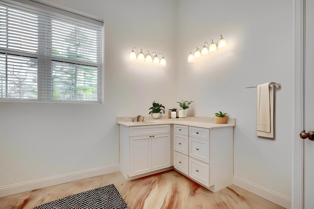 bathroom featuring sink and wood-type flooring