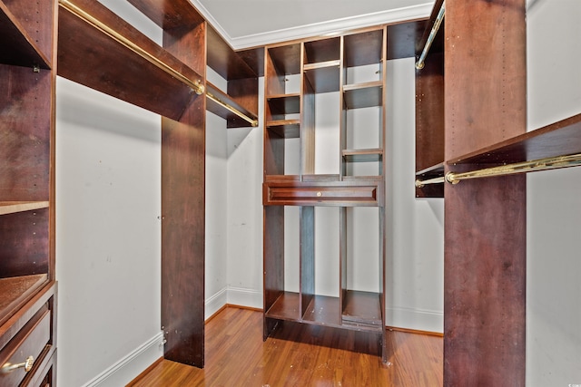 spacious closet featuring hardwood / wood-style floors