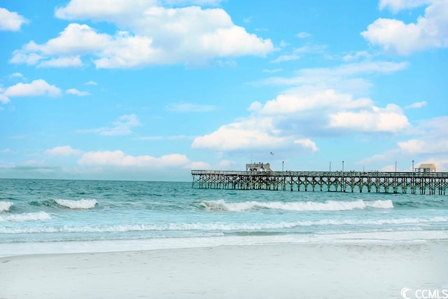 water view featuring a beach view