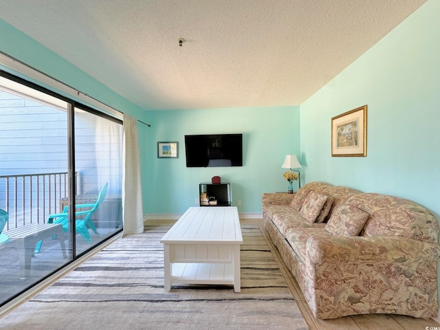 living room featuring a textured ceiling