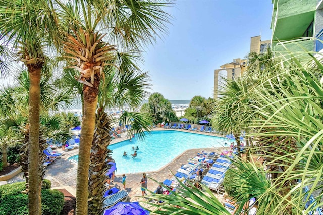 view of pool with a patio