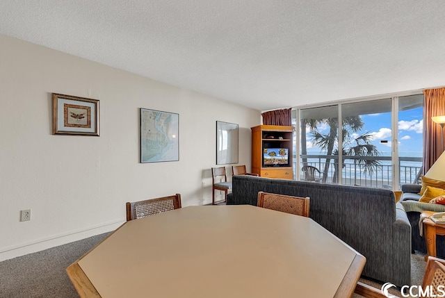 carpeted dining space featuring a water view and a textured ceiling