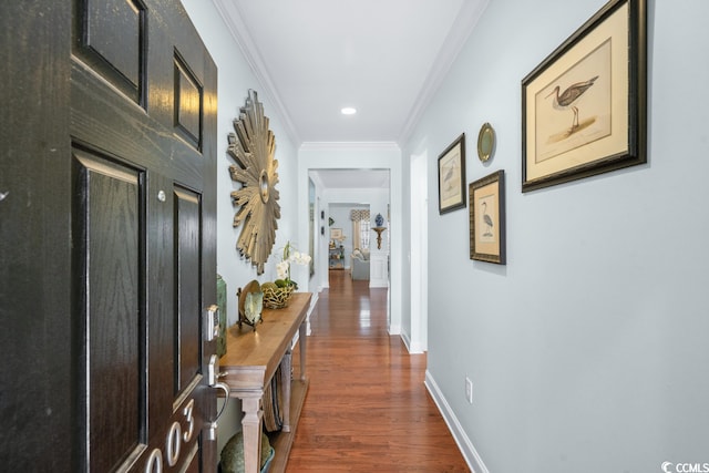 hallway with crown molding and dark hardwood / wood-style floors