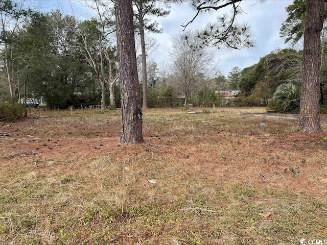 606 S Morgan Ave, Andrews SC, 29510 land for sale