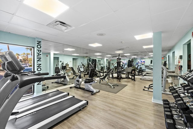 exercise room featuring light hardwood / wood-style floors and a drop ceiling