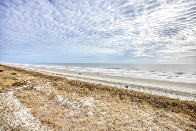 property view of water with a beach view