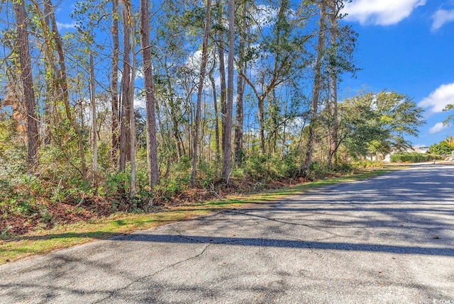 Listing photo 2 for TBD Gray Mans Loop, Pawleys Island SC 29585