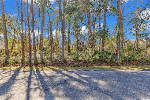 Listing photo 3 for TBD Gray Mans Loop, Pawleys Island SC 29585