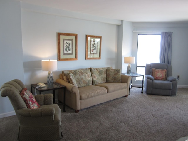 living room with carpet floors