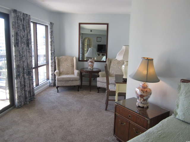 sitting room with plenty of natural light and carpet floors