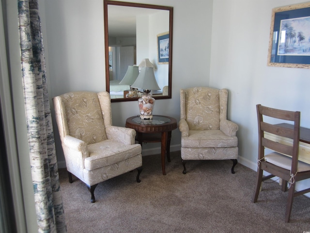 living area featuring carpet flooring