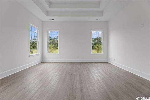 spare room with a raised ceiling, baseboards, and wood finished floors