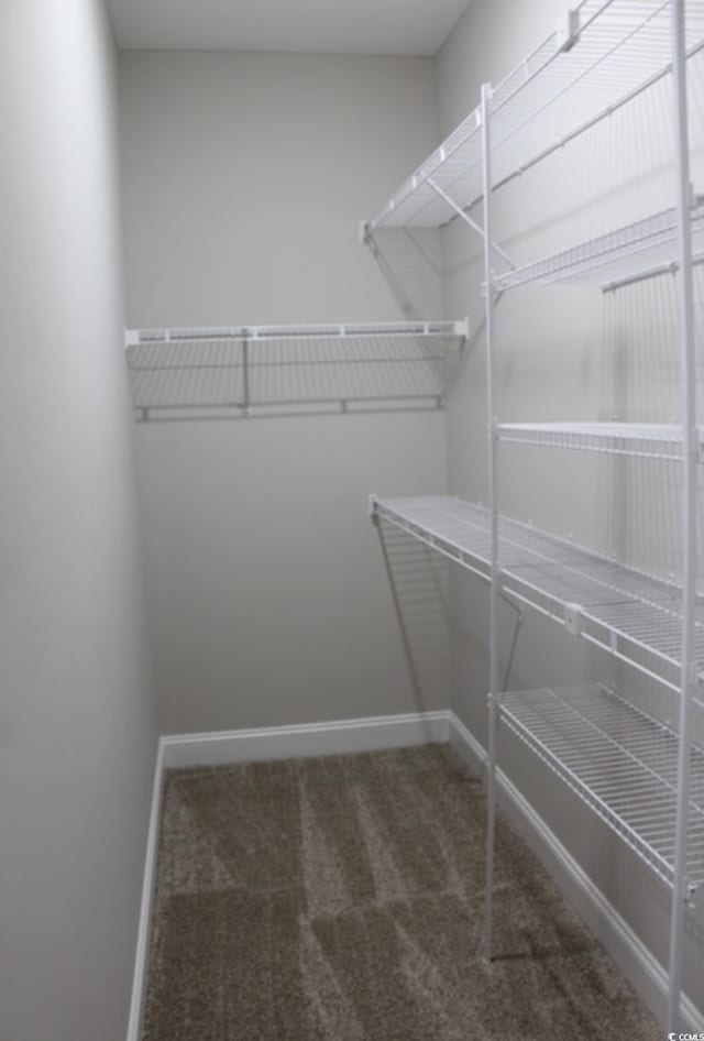 spacious closet with carpet