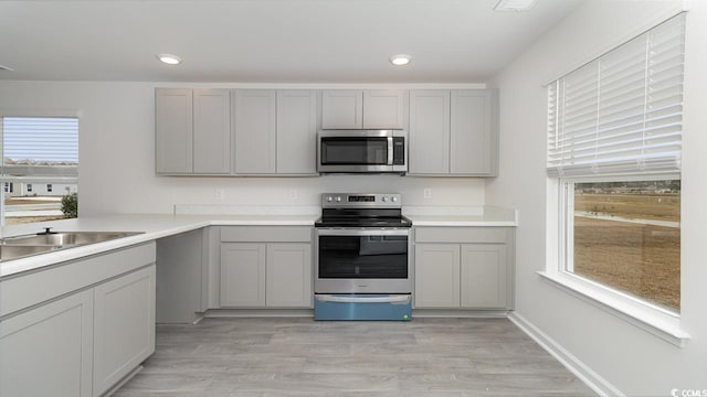 kitchen with gray cabinetry, a wealth of natural light, appliances with stainless steel finishes, and light hardwood / wood-style flooring