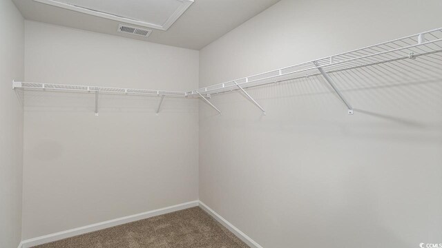 spacious closet featuring carpet