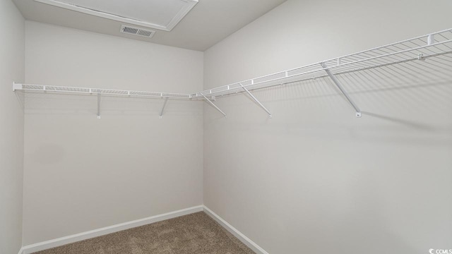 walk in closet with visible vents, attic access, and carpet floors