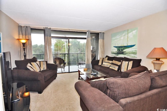 view of carpeted living room