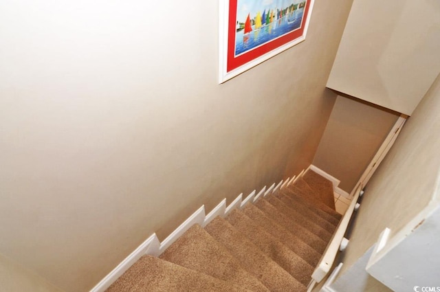 staircase with carpet flooring