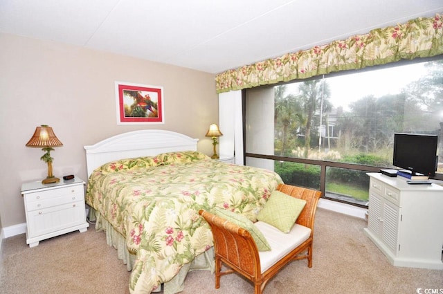 carpeted bedroom featuring multiple windows