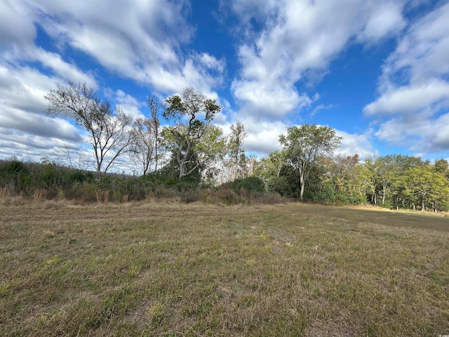 TBD Gum Swamp Rd, Sellers SC, 29592 land for sale