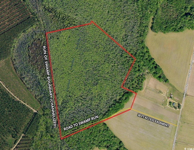 TBD Gum Swamp Rd, Sellers, SC 29592
