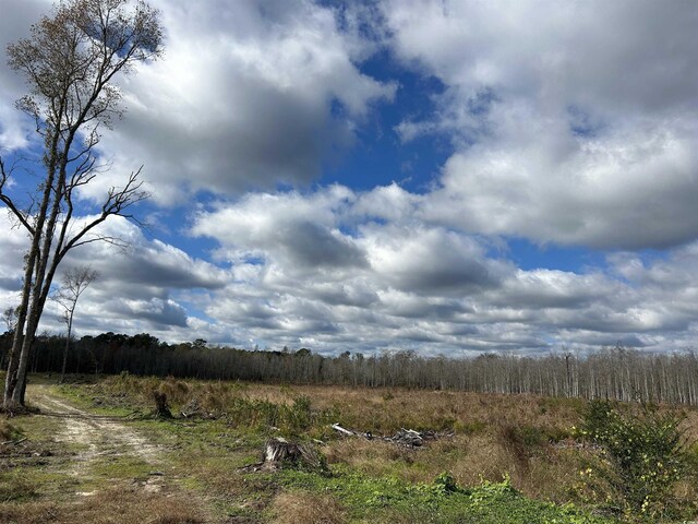 TBD Gum Swamp Rd, Sellers, SC 29592