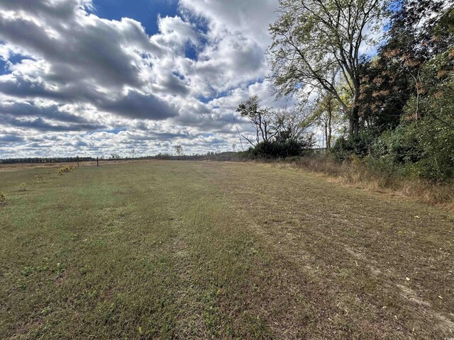 TBD Gum Swamp Rd, Sellers, SC 29592