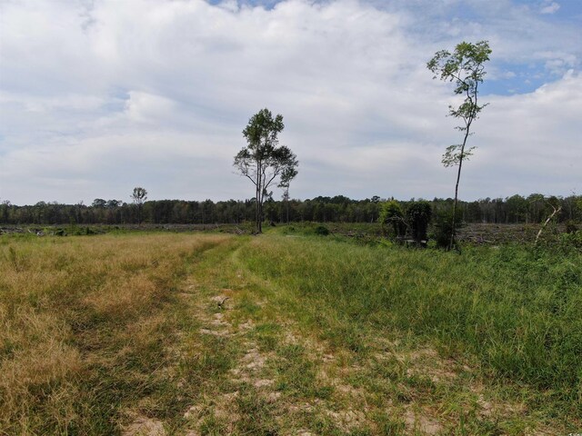 TBD Gum Swamp Rd, Sellers, SC 29592