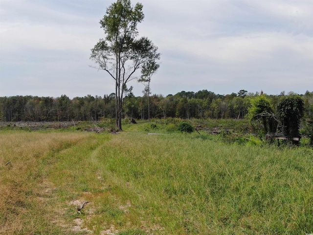 TBD Gum Swamp Rd, Sellers, SC 29592