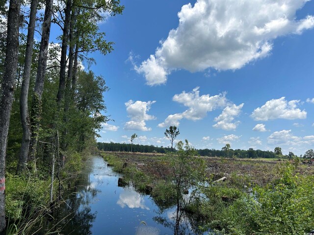 TBD Gum Swamp Rd, Sellers, SC 29592