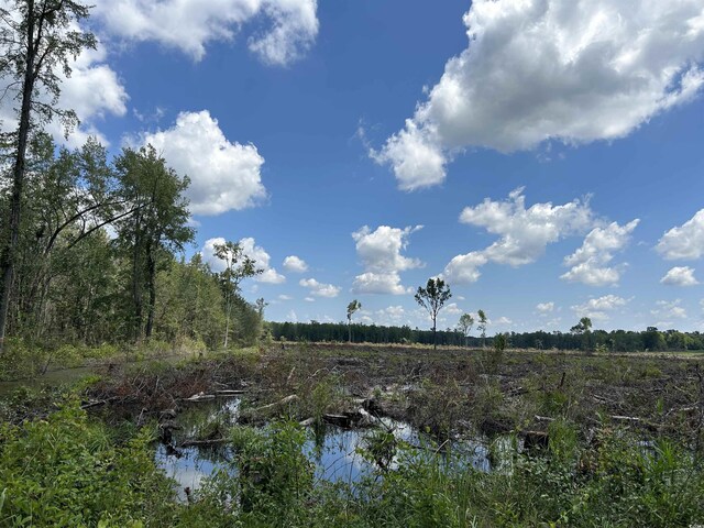 TBD Gum Swamp Rd, Sellers, SC 29592