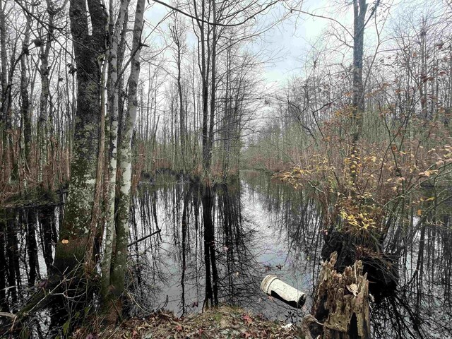 TBD Gum Swamp Rd, Sellers, SC 29592