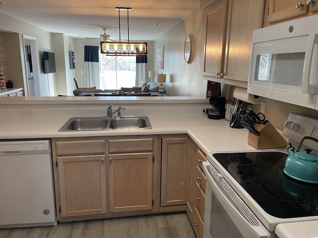 kitchen with a notable chandelier, light hardwood / wood-style flooring, white appliances, hanging light fixtures, and sink