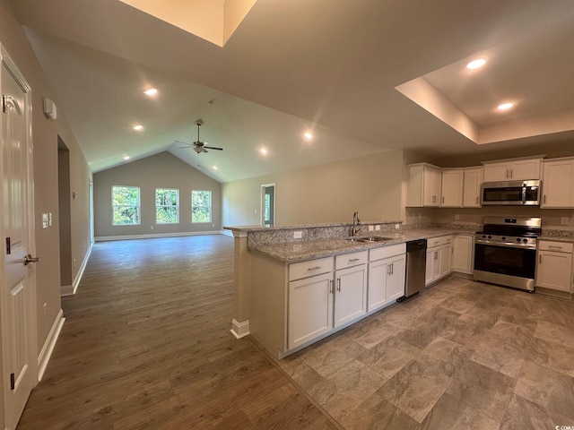 kitchen featuring ceiling fan, hardwood / wood-style flooring, stainless steel appliances, sink, and kitchen peninsula