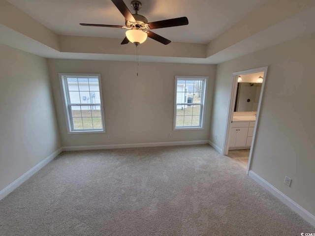 unfurnished room with a wealth of natural light, light colored carpet, and a tray ceiling