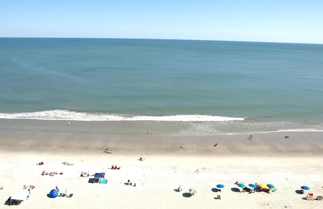 water view featuring a beach view