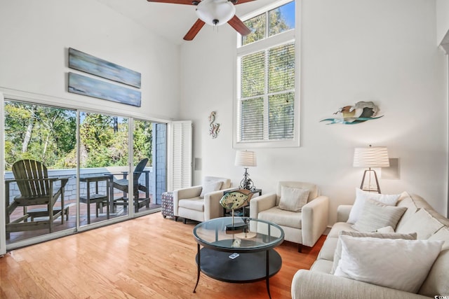 living room featuring ceiling fan, light wood-type flooring, and a high ceiling