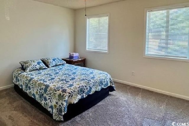 bedroom with multiple windows and carpet