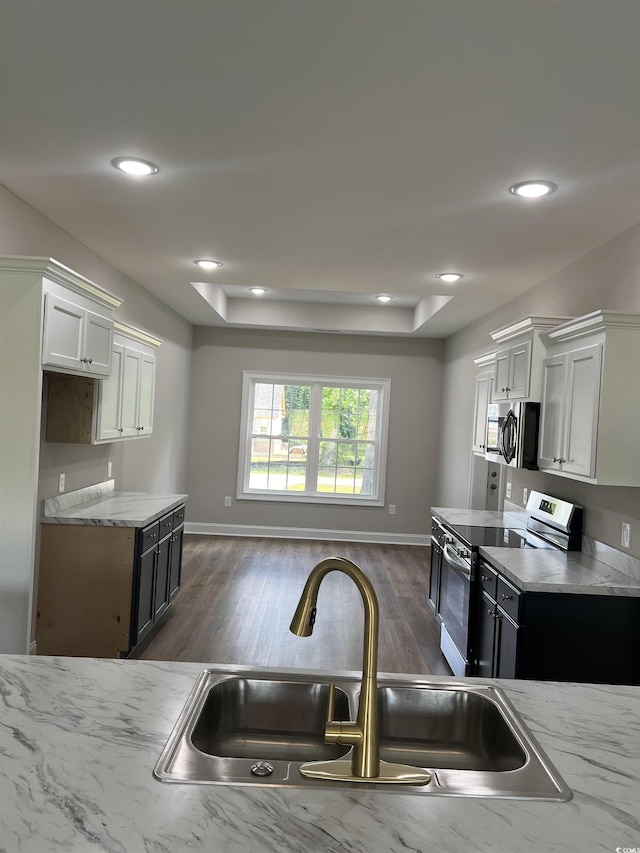 kitchen featuring a sink, a tray ceiling, dark wood-style floors, recessed lighting, and appliances with stainless steel finishes