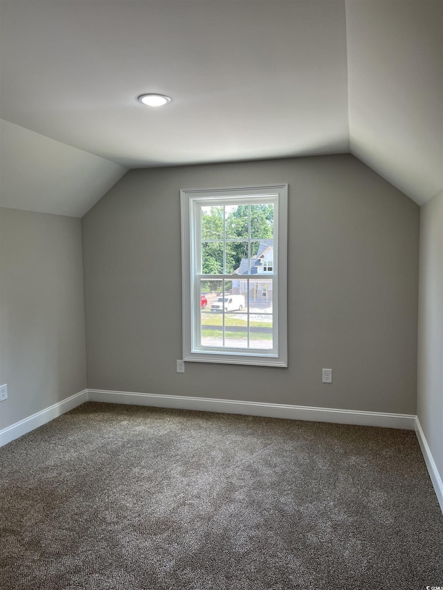 additional living space with baseboards, carpet, and lofted ceiling