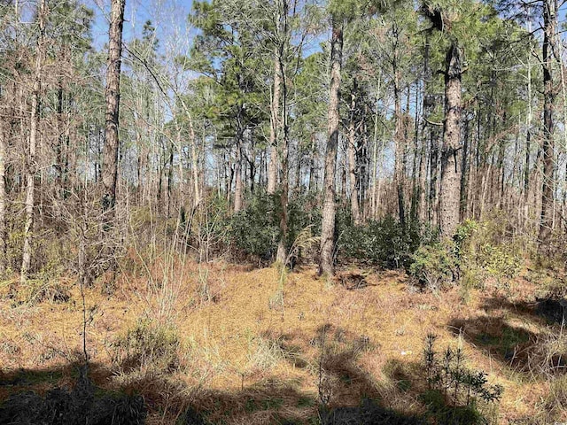 Listing photo 2 for TBD Florence Ln, Kingstree SC 29556