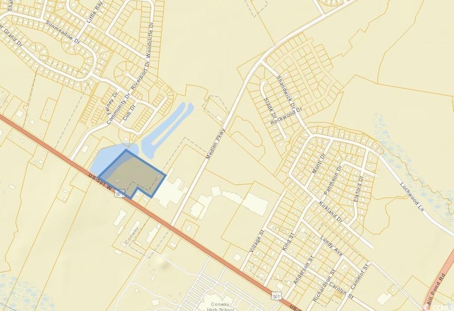 2430 Hwy 501, Conway, SC 29526 - photo 1