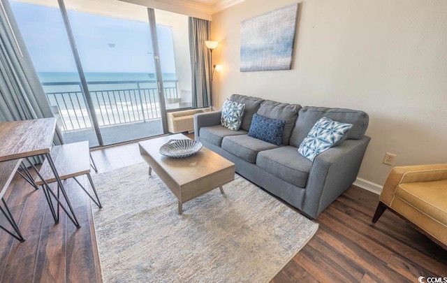 living room with dark hardwood / wood-style flooring and a water view