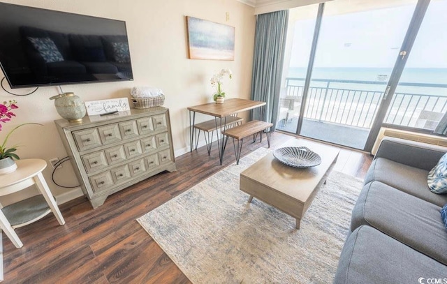 living room featuring a water view and dark hardwood / wood-style flooring