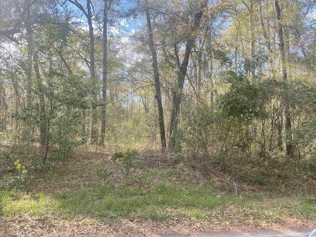 TBD Senior Rd, Kingstree SC, 29556 land for sale