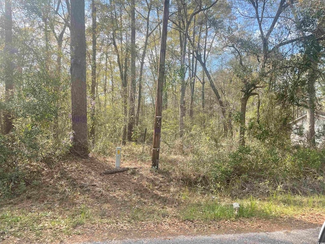 Listing photo 2 for TBD Senior Rd, Kingstree SC 29556