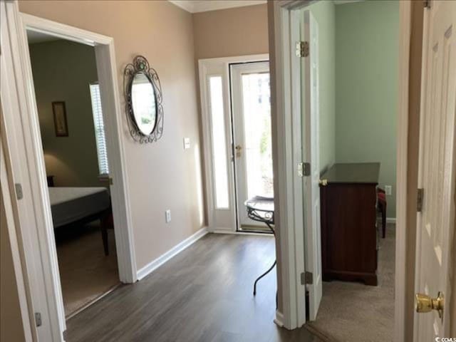 entryway with wood-type flooring